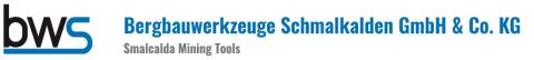 BWS_Logo_Banner